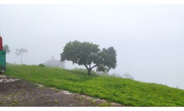 VENTA FINCA CAFETERA TMESIS SAN PABLO, SUROESTE ANTIOQUEÑO