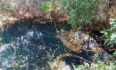 Rancho en Venta, 218 Has en Sucila, Yucatán
