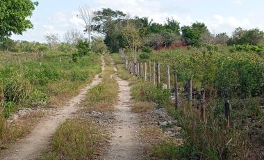 Rancho en Venta, 218 Has en Sucila, Yucatán