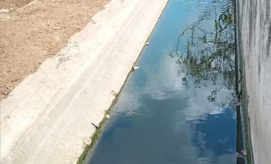 Rancho en Venta, 218 Has en Sucila, Yucatán