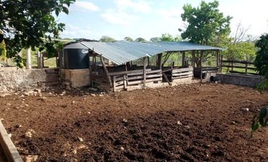 Rancho en Venta, 218 Has en Sucila, Yucatán
