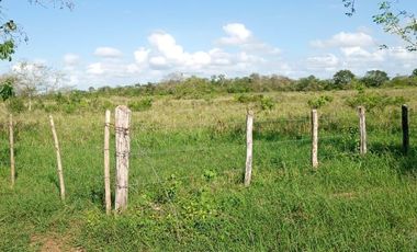 Rancho en Venta, 218 Has en Sucila, Yucatán