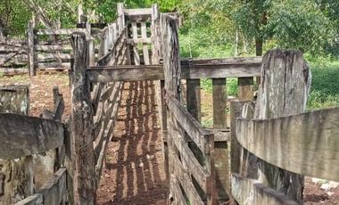 Rancho en Venta, 218 Has en Sucila, Yucatán