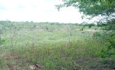 Rancho en Venta, 218 Has en Sucila, Yucatán