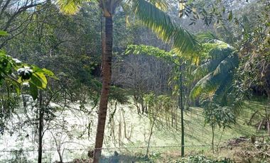 Rancho en Venta, 218 Has en Sucila, Yucatán