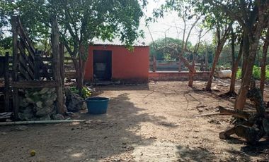 Rancho en Venta, 218 Has en Sucila, Yucatán