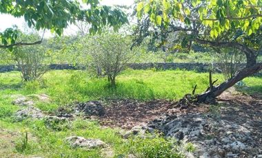 Rancho en Venta, 218 Has en Sucila, Yucatán