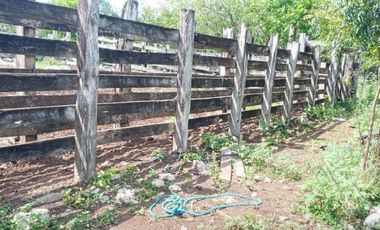 Rancho en Venta, 218 Has en Sucila, Yucatán