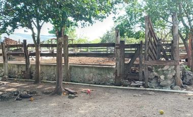 Rancho en Venta, 218 Has en Sucila, Yucatán