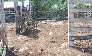 Rancho en Venta, 218 Has en Sucila, Yucatán