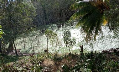 Rancho en Venta, 218 Has en Sucila, Yucatán