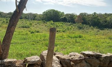 Rancho en Venta, 218 Has en Sucila, Yucatán