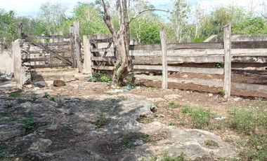 Rancho en Venta, 218 Has en Sucila, Yucatán