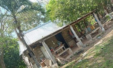 Rancho en Venta, 218 Has en Sucila, Yucatán