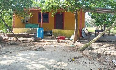 Rancho en Venta, 218 Has en Sucila, Yucatán