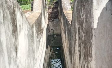 Rancho en Venta, 218 Has en Sucila, Yucatán