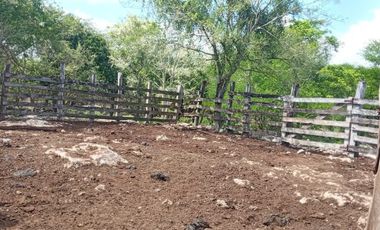 Rancho en Venta, 218 Has en Sucila, Yucatán