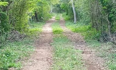 Rancho en Venta, 218 Has en Sucila, Yucatán