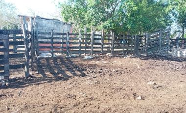 Rancho en Venta, 218 Has en Sucila, Yucatán