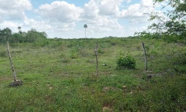 Rancho en Venta, 218 Has en Sucila, Yucatán