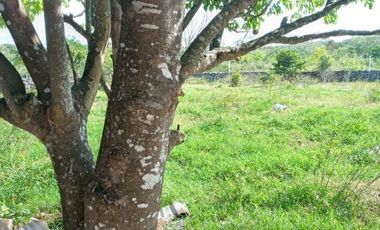 Rancho en Venta, 218 Has en Sucila, Yucatán