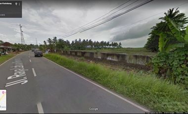 Dijual Cepat Tanah di Panimbang Pandeglang Banten 1.5 Ha