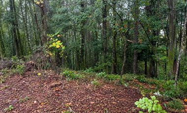 PARCELA 5.000M2 | SECTOR PUQUEREO | EJE FREIRE-VILLARRICA