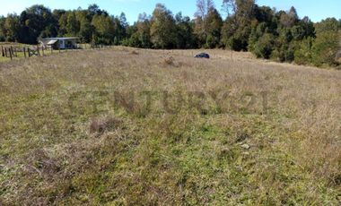 PARCELA 5.000M2 | SECTOR PUQUEREO | EJE FREIRE-VILLARRICA
