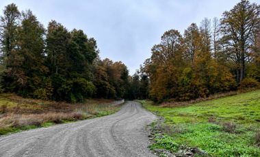 PARCELA 5.000M2 | SECTOR PUQUEREO | EJE FREIRE-VILLARRICA
