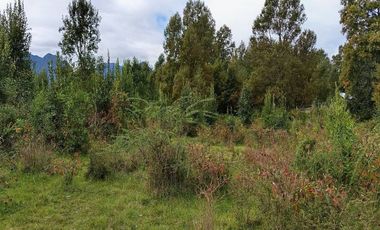 PARCELA 5.000M2 | SECTOR PUQUEREO | EJE FREIRE-VILLARRICA