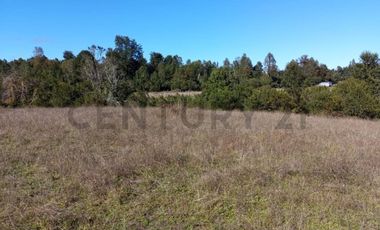 PARCELA 5.000M2 | SECTOR PUQUEREO | EJE FREIRE-VILLARRICA