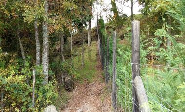 PARCELA 5.000M2 | SECTOR PUQUEREO | EJE FREIRE-VILLARRICA