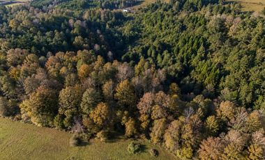 PARCELA 5.000M2 | SECTOR PUQUEREO | EJE FREIRE-VILLARRICA