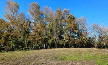 PARCELA 5.000M2 | SECTOR PUQUEREO | EJE FREIRE-VILLARRICA
