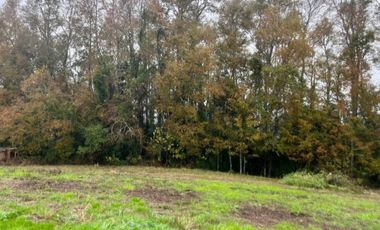 PARCELA 5.000M2 | SECTOR PUQUEREO | EJE FREIRE-VILLARRICA