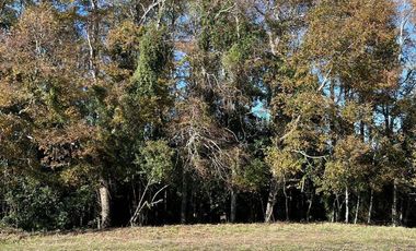 PARCELA 5.000M2 | SECTOR PUQUEREO | EJE FREIRE-VILLARRICA