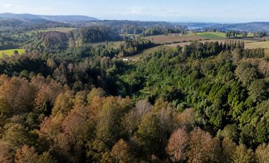 PARCELA 5.000M2 | SECTOR PUQUEREO | EJE FREIRE-VILLARRICA