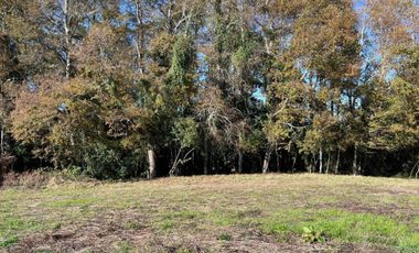 PARCELA 5.000M2 | SECTOR PUQUEREO | EJE FREIRE-VILLARRICA