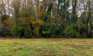 PARCELA 5.000M2 | SECTOR PUQUEREO | EJE FREIRE-VILLARRICA