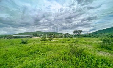 TERRENO EN VENTA EN VILLA CORONA, JALISCO