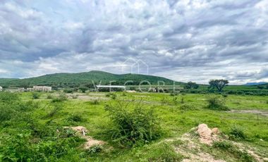 TERRENO EN VENTA EN VILLA CORONA, JALISCO