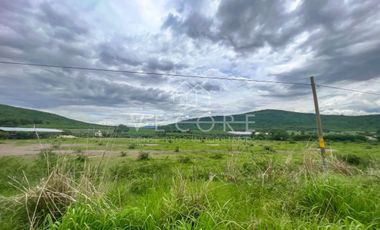 TERRENO EN VENTA EN VILLA CORONA, JALISCO