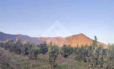 Casa en Venta en Chiñigue Las Rosas