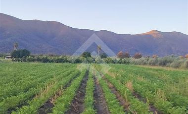 Casa en Venta en Chiñigue Las Rosas