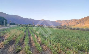 Casa en Venta en Chiñigue Las Rosas
