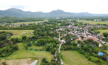 Land for sale in On Nuea, Chiang Mai