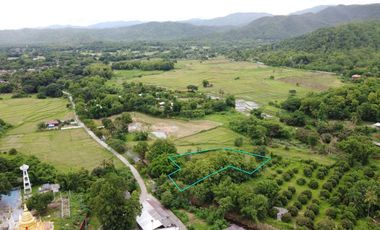Land for sale in On Nuea, Chiang Mai