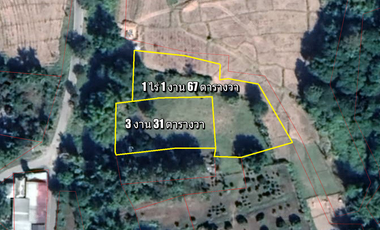 Land for sale in On Nuea, Chiang Mai
