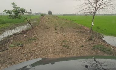 Vendo terreno vía a Guachapelí