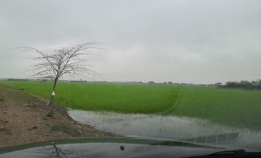 Vendo terreno vía a Guachapelí